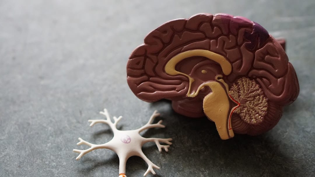 Upper cervical care for concussion at Atlas Injury to Health in Ocala, Florida